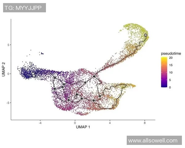 熊猫体育运动轨迹预测模型的构建与应用研究分析